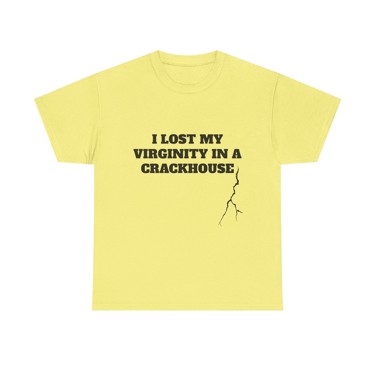 I LOST MY VIRGINITY IN A CRACKHOUSE - Graphic Unisex Heavy Cotton Tee
