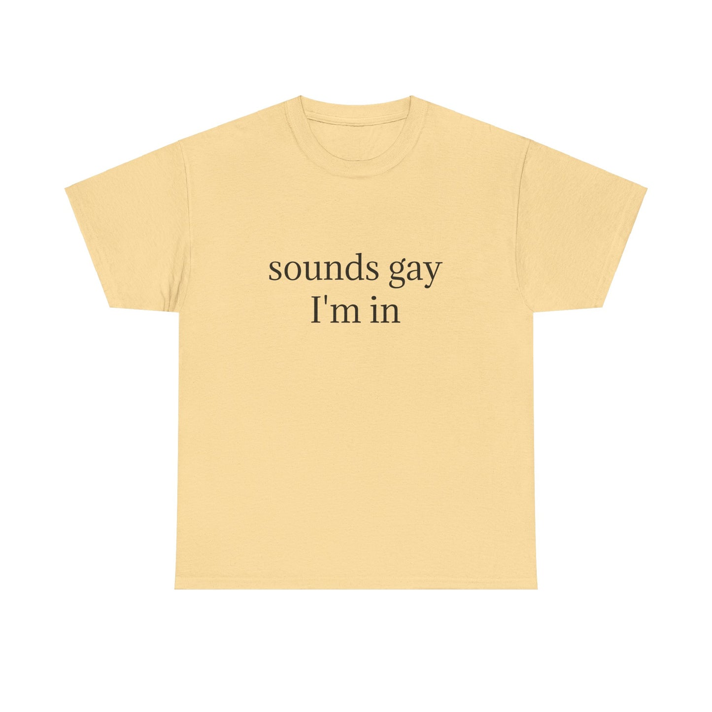 Sounds Gay, I'm In - Graphic LGBTQ+ PRIDE Unisex Heavy Cotton Tee