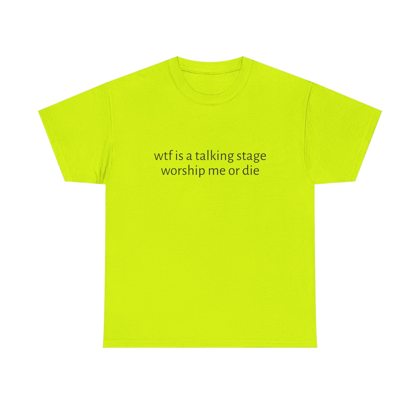 Wtf Is A Talking Stage , Worship Me Or Die - Graphic Unisex Heavy Cotton Tee