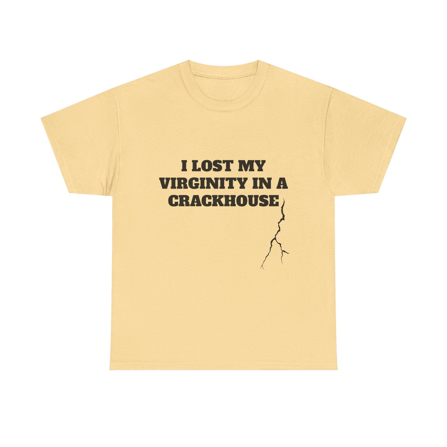I LOST MY VIRGINITY IN A CRACKHOUSE - Graphic Unisex Heavy Cotton Tee