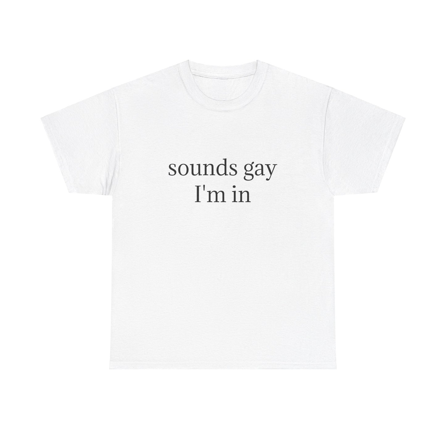 Sounds Gay, I'm In - Graphic LGBTQ+ PRIDE Unisex Heavy Cotton Tee