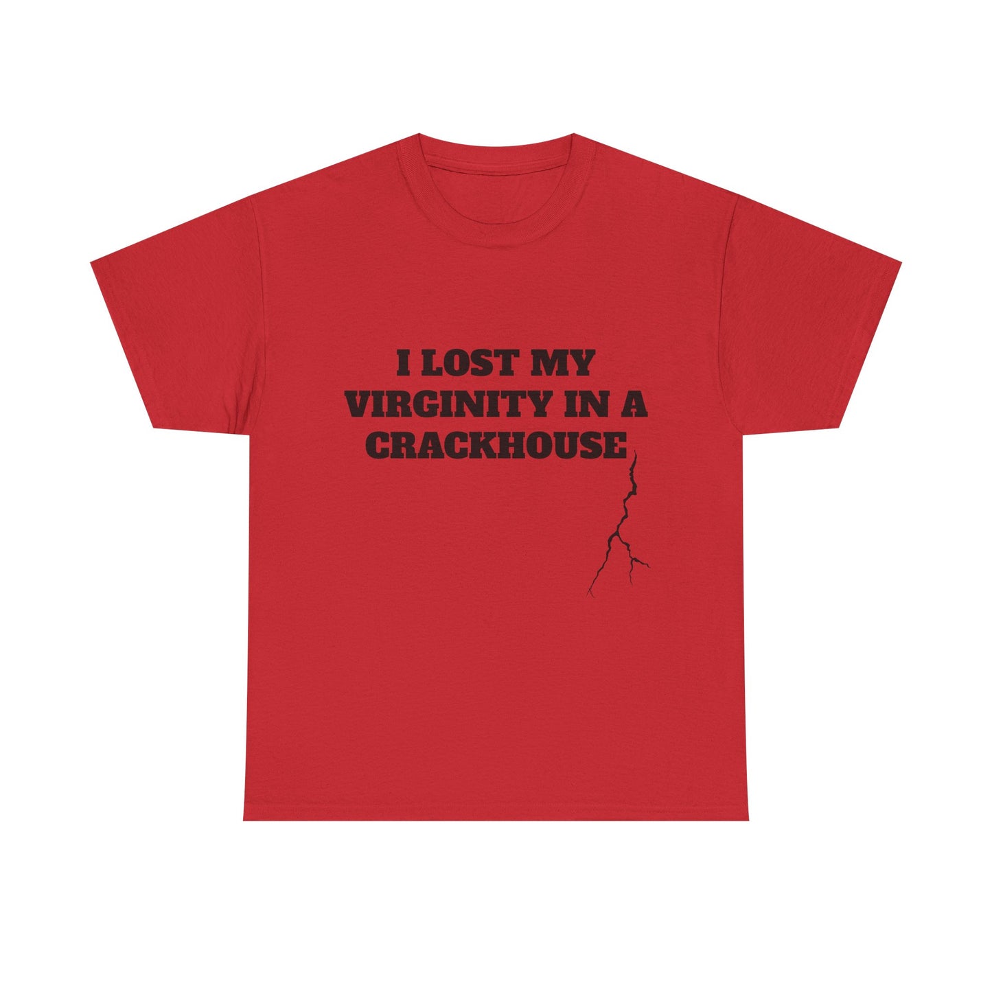 I LOST MY VIRGINITY IN A CRACKHOUSE - Graphic Unisex Heavy Cotton Tee