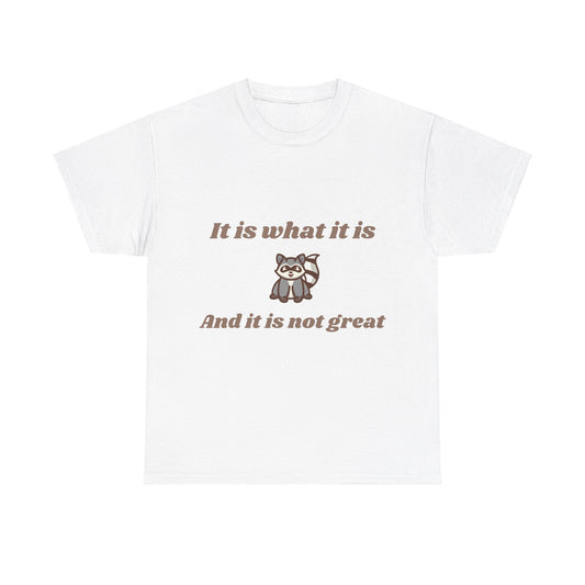 It Is What It Is - Graphic Unisex Heavy Cotton Tee