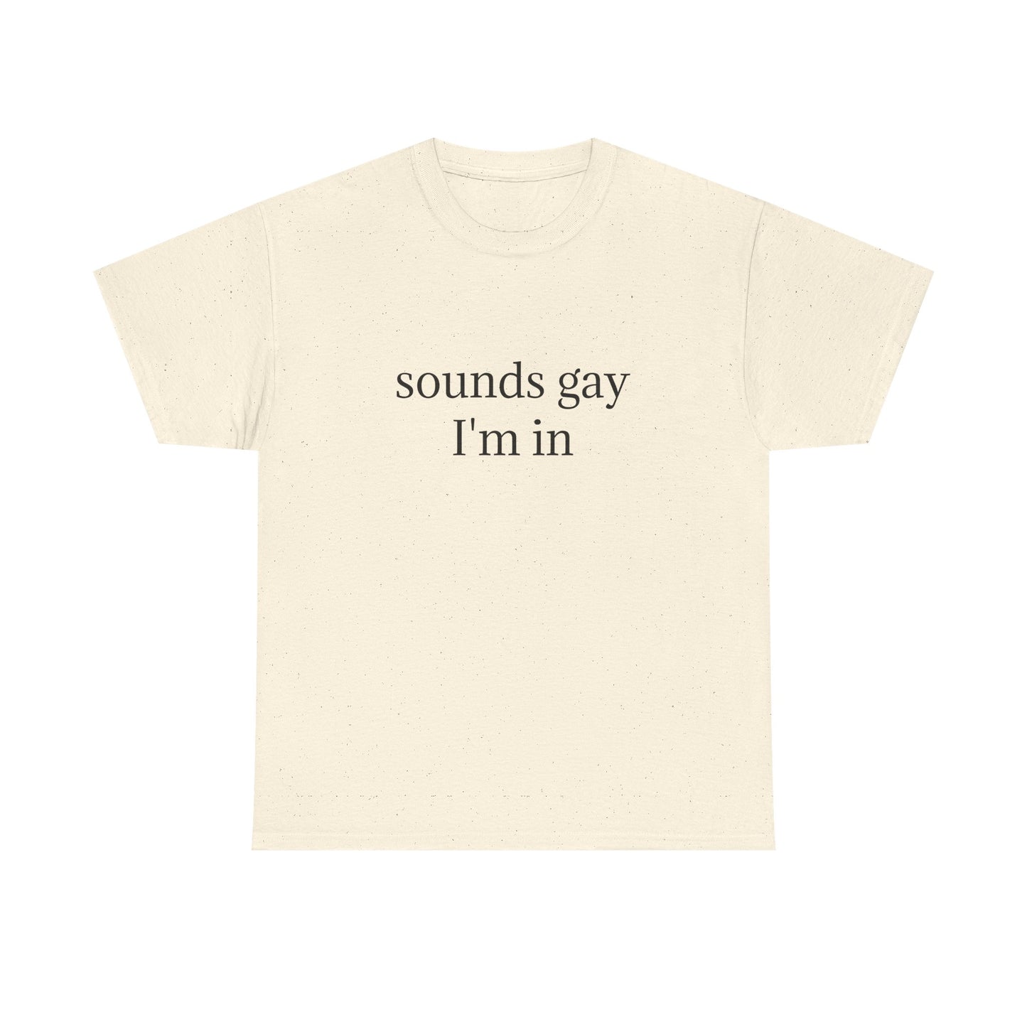Sounds Gay, I'm In - Graphic LGBTQ+ PRIDE Unisex Heavy Cotton Tee