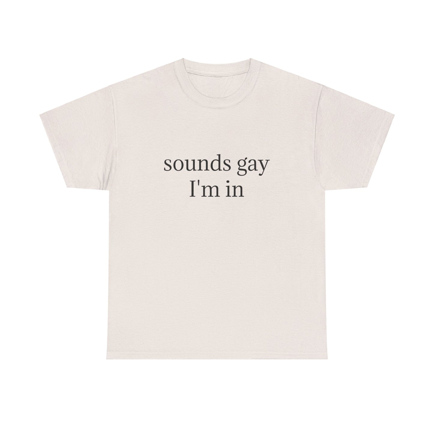 Sounds Gay, I'm In - Graphic LGBTQ+ PRIDE Unisex Heavy Cotton Tee