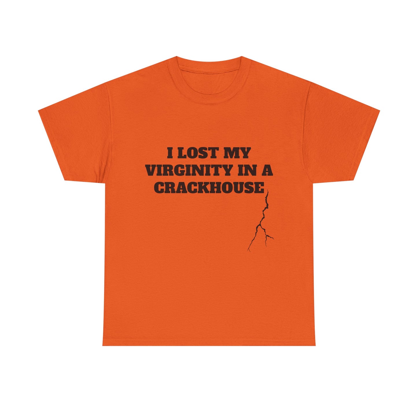 I LOST MY VIRGINITY IN A CRACKHOUSE - Graphic Unisex Heavy Cotton Tee