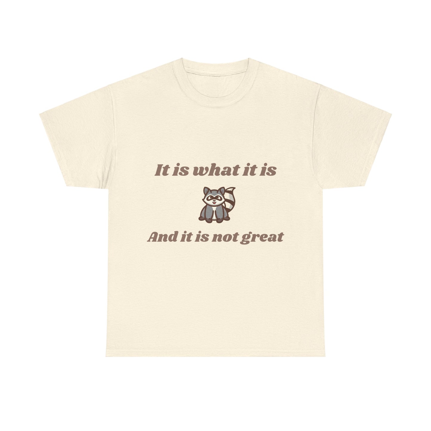 It Is What It Is - Graphic Unisex Heavy Cotton Tee