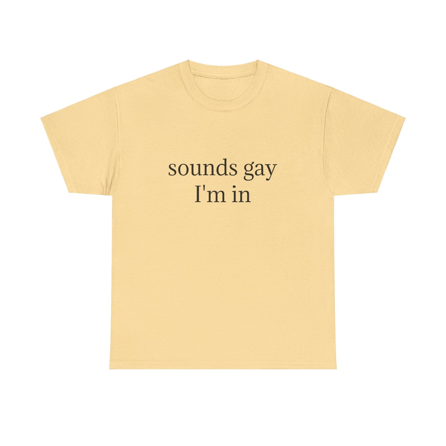 Sounds Gay, I'm In - Graphic LGBTQ+ PRIDE Unisex Heavy Cotton Tee