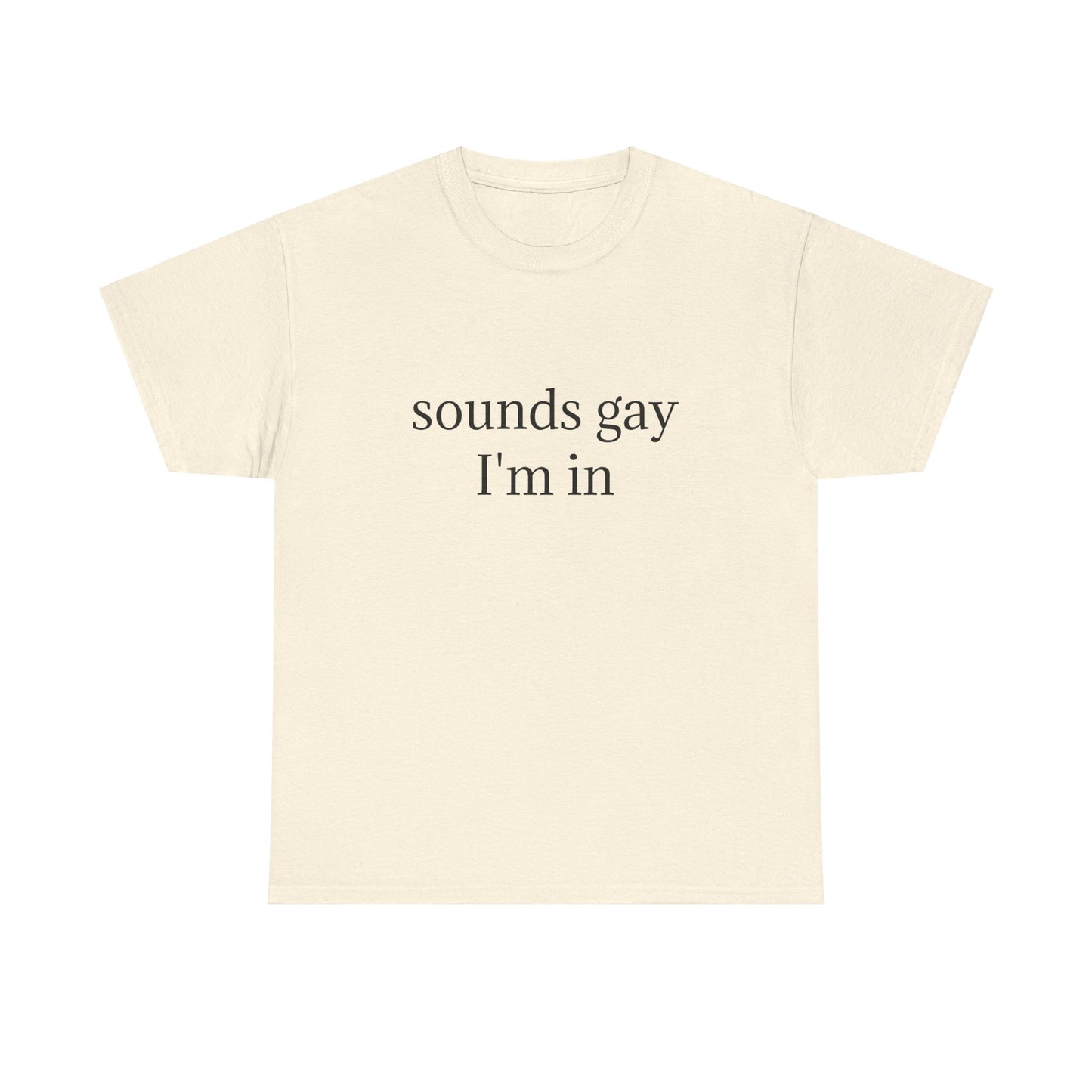 Sounds Gay, I'm In - Graphic LGBTQ+ PRIDE Unisex Heavy Cotton Tee