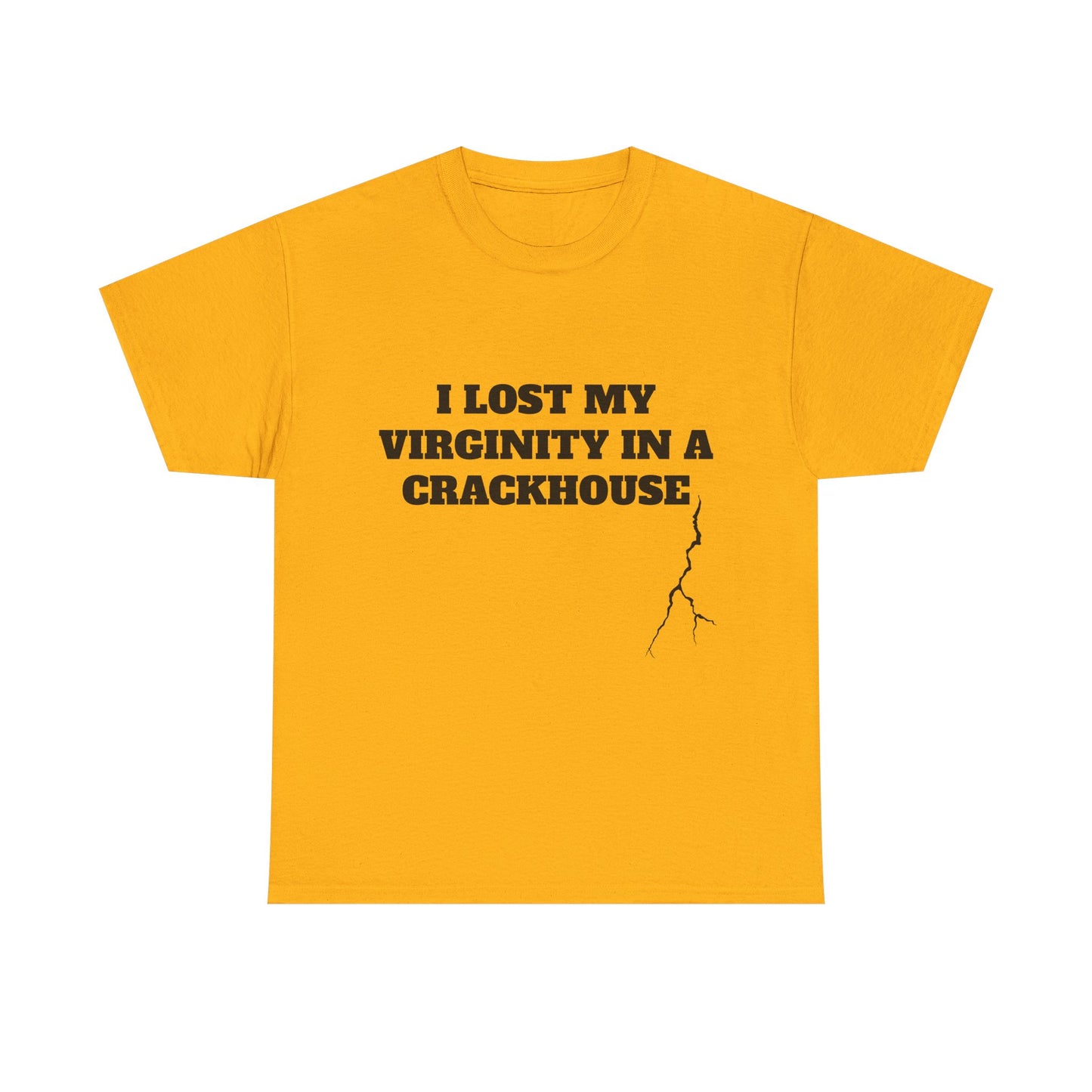 I LOST MY VIRGINITY IN A CRACKHOUSE - Graphic Unisex Heavy Cotton Tee